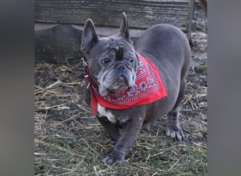 Fleur - ausgenutzt und entsorgt!