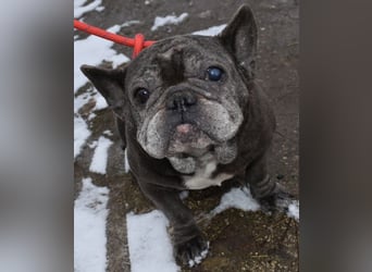 Fleur - ausgenutzt und entsorgt!