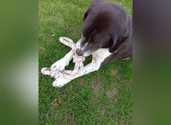 IN Deutschland AUF PFLEGESTELLE ❤️ ROBIN - SUPER FREUNDLICH ❗️