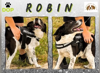 IN Deutschland AUF PFLEGESTELLE ❤️ ROBIN - SUPER FREUNDLICH ❗️