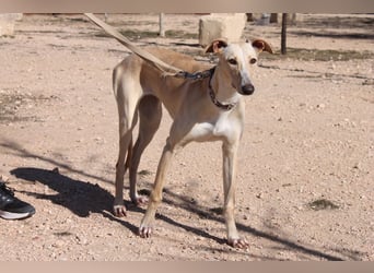 ❤️ CLARINA ❤️    ❗NOTFALL❗