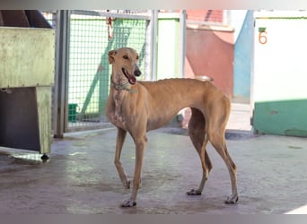 ❤️ CLARINA ❤️    ❗NOTFALL❗