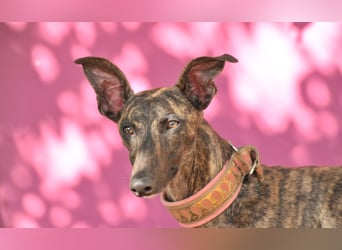 Wird Nani von dir gesehen?