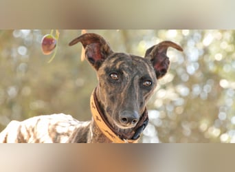 Wird Nani von dir gesehen?