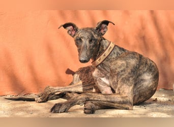 Wird Nani von dir gesehen?