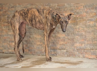 Wird Nani von dir gesehen?