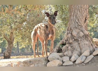 Wird Nani von dir gesehen?