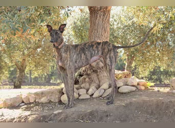 Wird Nani von dir gesehen?