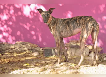 Wird Nani von dir gesehen?