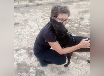 RASMIA-Lebensfreude pur sucht liebevolles, aktives Für-immer-Zuhause