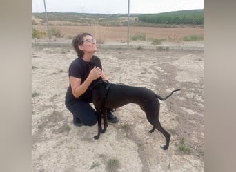 RASMIA-Lebensfreude pur sucht liebevolles, aktives Für-immer-Zuhause