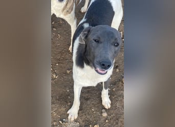 POXI, ein Herz voller Lebensfreude!