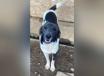 POXI, ein Herz voller Lebensfreude!