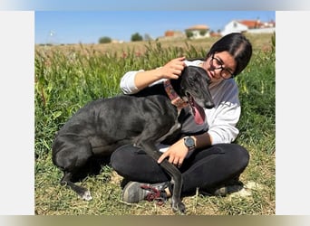 Tobo (LR)