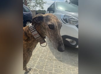 Maverik wartet auf dich!!!