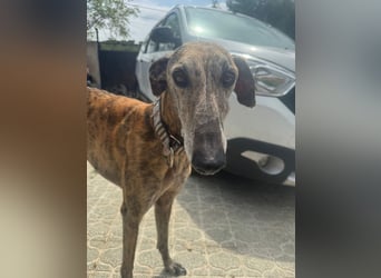 Maverik wartet auf dich!!!