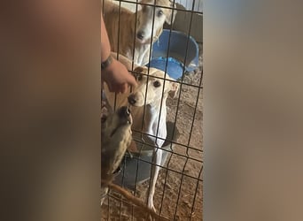 Matilda - eine Prinzessin für dich!!!
