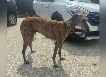 Maverik wartet auf dich!!!