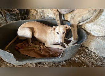 Matilda - eine Prinzessin für dich!!!