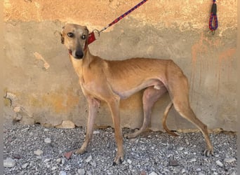 Prinz Iker sucht dich!!!