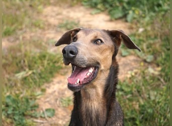 Apollo (Spanien) – Ein großer Junge, der lernen möchte ...