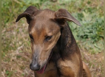 Apollo (Spanien) – Ein großer Junge, der lernen möchte ...