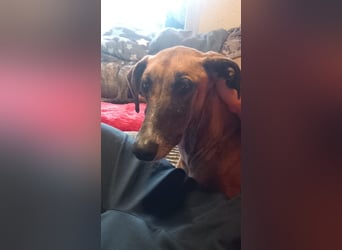 Cenicienta - freundlich und sozial