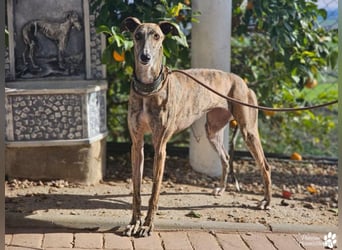 Loredana ist sehr menschenbezogen