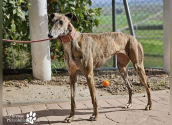 Loredana ist sehr menschenbezogen