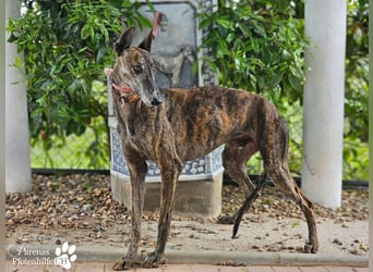 Magnus hat ein ruhiges, schüchternes Wesen