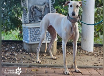 Lea ist fröhlich und hat eine tolle Ausstrahlung , braucht anfangs Zeit