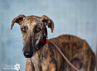 Karo ist menschenbezogen, braucht anfangs aber Zeit