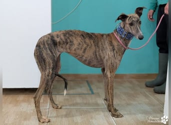 Loredana ist sehr menschenbezogen