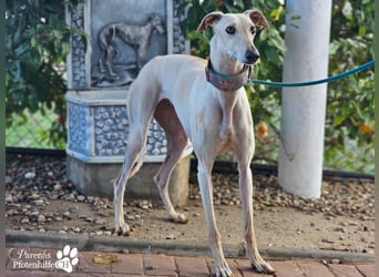 Lea ist fröhlich und hat eine tolle Ausstrahlung , braucht anfangs Zeit