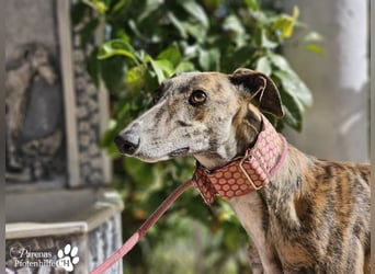 Loredana ist sehr menschenbezogen