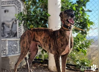 Holidays ist bereits in Deutschland