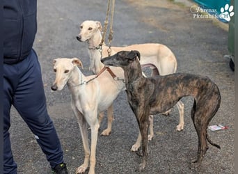 Lea ist fröhlich und hat eine tolle Ausstrahlung , braucht anfangs Zeit