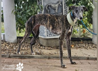 Lambada braucht Zeit und Geduld