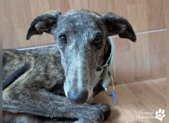 Lambada braucht Zeit und Geduld