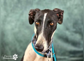 Madlen, wunderschön, sanftes Wesen, braucht anfangs etwas Zeit