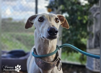 Lea ist fröhlich und hat eine tolle Ausstrahlung , braucht anfangs Zeit