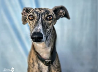 Loredana ist sehr menschenbezogen