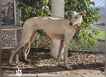 Jana ist derzeit noch schüchtern und unsicher