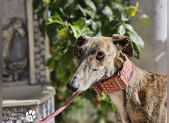 Loredana ist sehr menschenbezogen