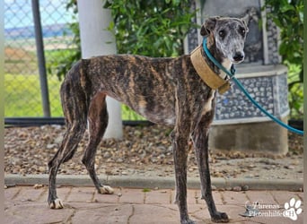 Lambada braucht Zeit und Geduld