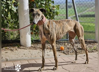 Loredana ist sehr menschenbezogen