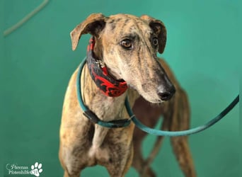 Karo ist menschenbezogen, braucht anfangs aber Zeit