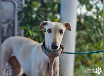 Lea ist fröhlich und hat eine tolle Ausstrahlung , braucht anfangs Zeit