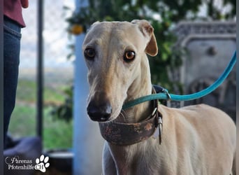 Lea ist fröhlich und hat eine tolle Ausstrahlung , braucht anfangs Zeit