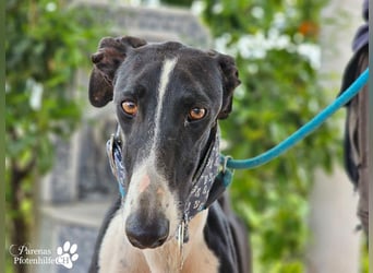 Madlen, wunderschön, sanftes Wesen, braucht anfangs etwas Zeit